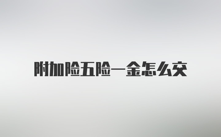 附加险五险一金怎么交