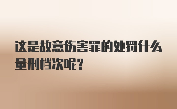 这是故意伤害罪的处罚什么量刑档次呢？