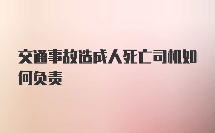 交通事故造成人死亡司机如何负责