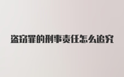 盗窃罪的刑事责任怎么追究