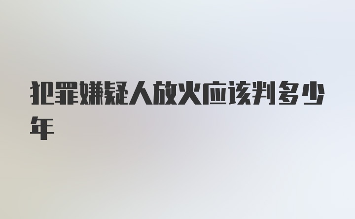 犯罪嫌疑人放火应该判多少年