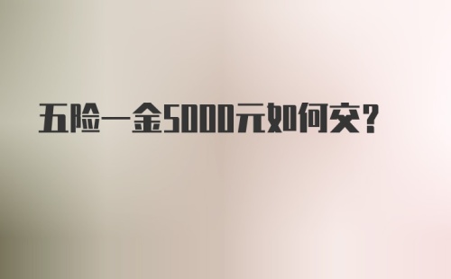 五险一金5000元如何交?