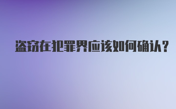 盗窃在犯罪界应该如何确认？