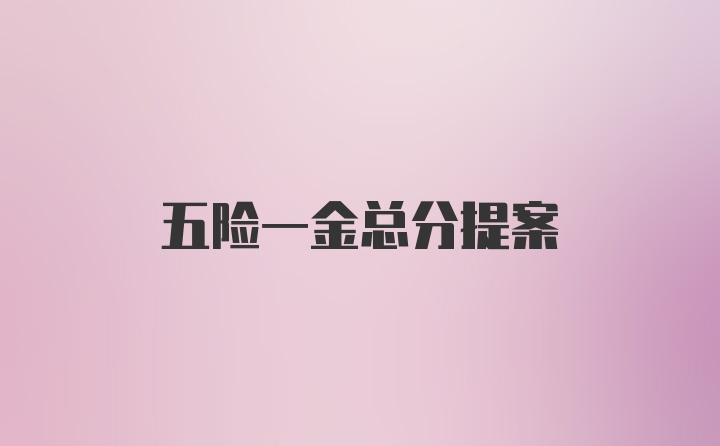 五险一金总分提案