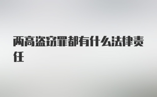 两高盗窃罪都有什么法律责任