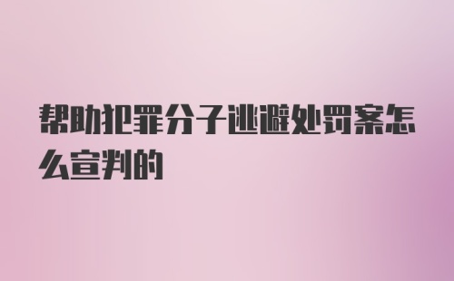 帮助犯罪分子逃避处罚案怎么宣判的