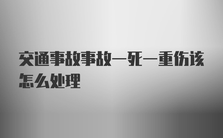 交通事故事故一死一重伤该怎么处理