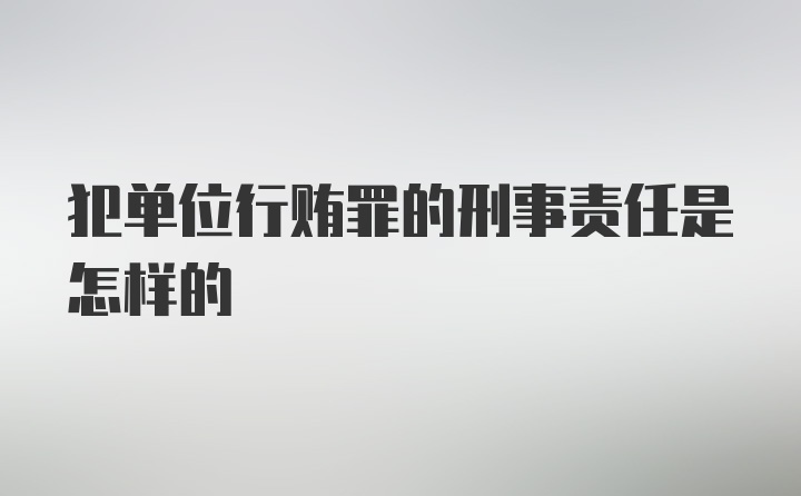 犯单位行贿罪的刑事责任是怎样的