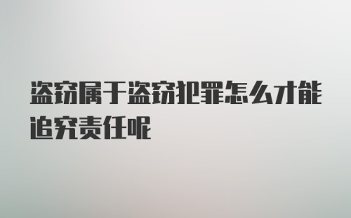 盗窃属于盗窃犯罪怎么才能追究责任呢