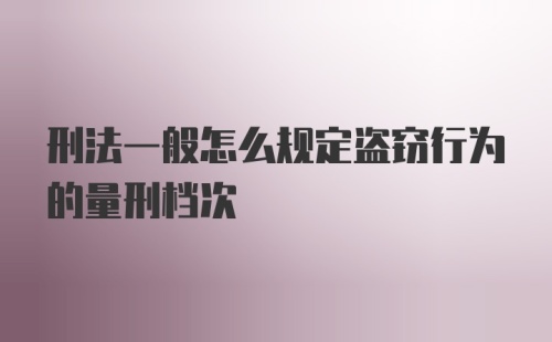 刑法一般怎么规定盗窃行为的量刑档次