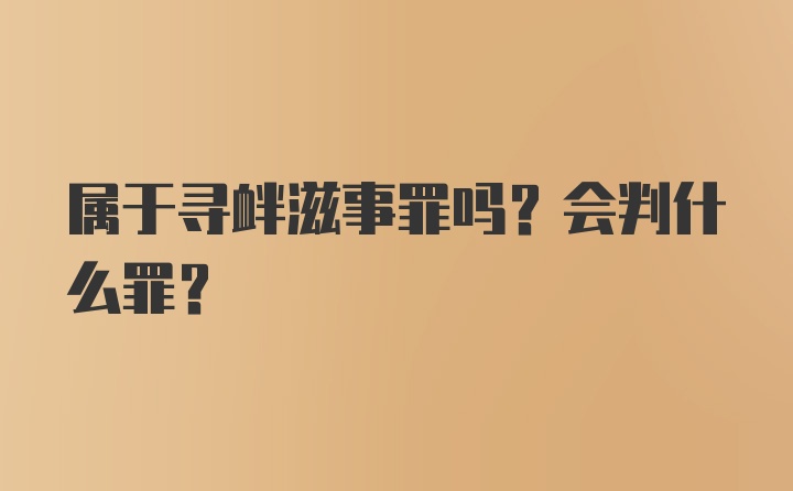 属于寻衅滋事罪吗？会判什么罪？