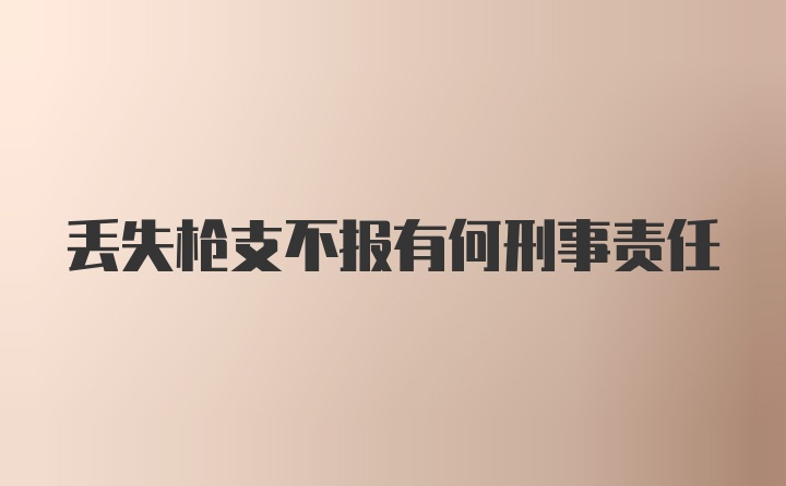 丢失枪支不报有何刑事责任