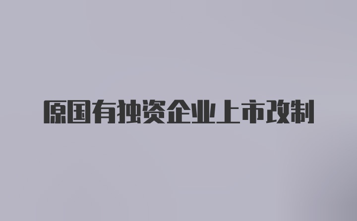 原国有独资企业上市改制