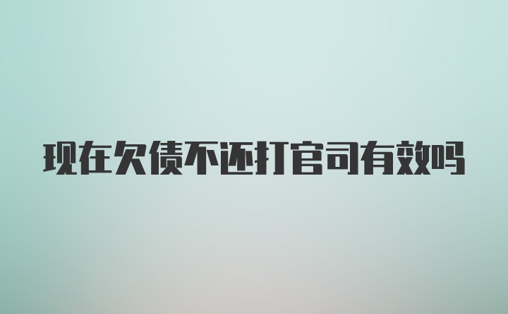 现在欠债不还打官司有效吗