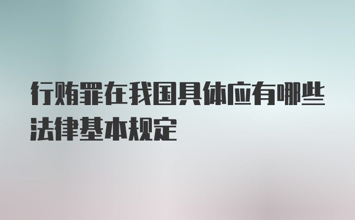 行贿罪在我国具体应有哪些法律基本规定