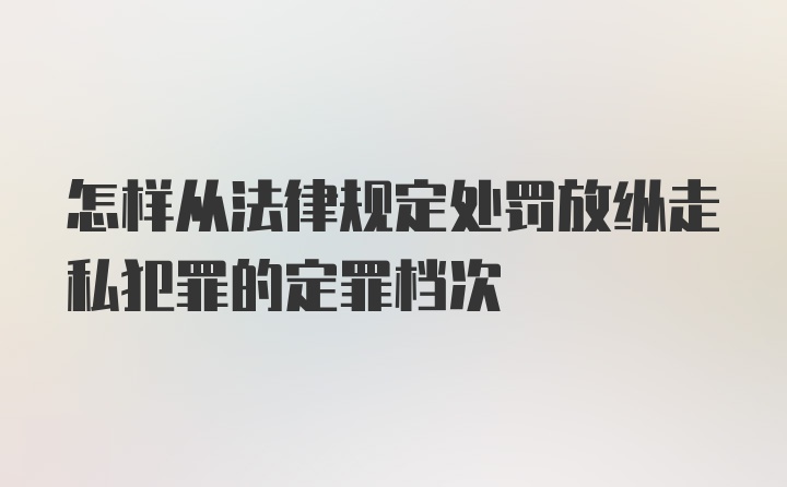 怎样从法律规定处罚放纵走私犯罪的定罪档次