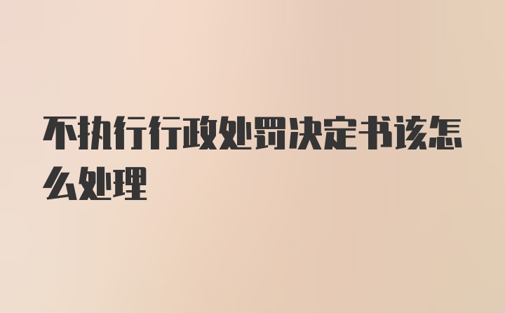 不执行行政处罚决定书该怎么处理