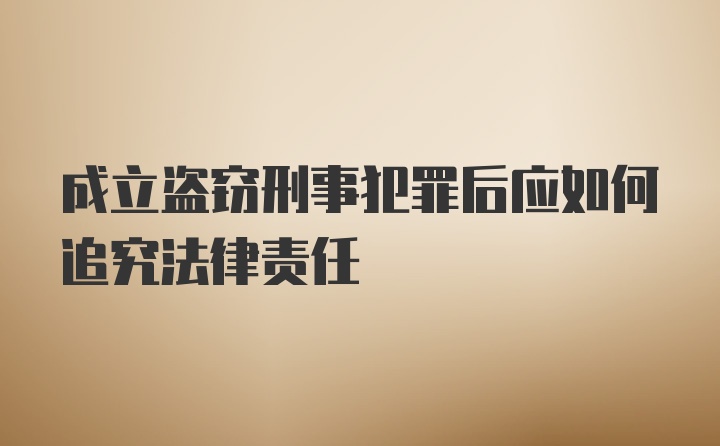 成立盗窃刑事犯罪后应如何追究法律责任