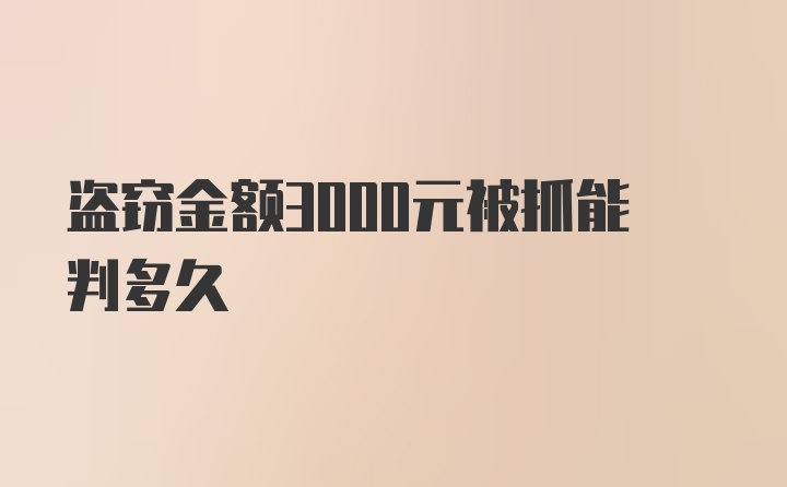 盗窃金额3000元被抓能判多久