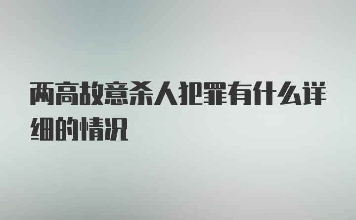 两高故意杀人犯罪有什么详细的情况