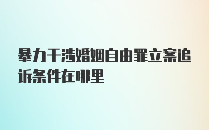 暴力干涉婚姻自由罪立案追诉条件在哪里