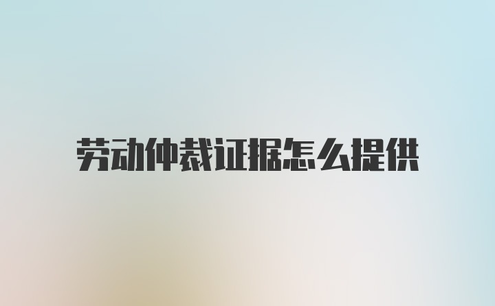 劳动仲裁证据怎么提供