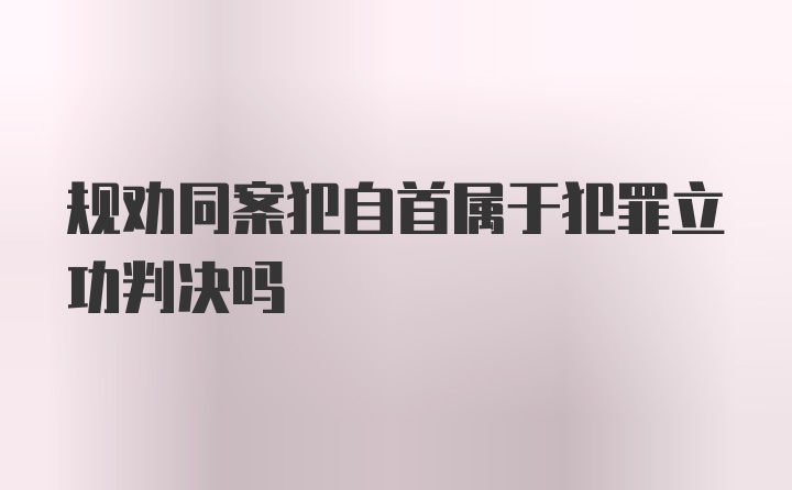 规劝同案犯自首属于犯罪立功判决吗