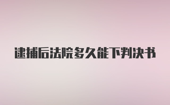 逮捕后法院多久能下判决书