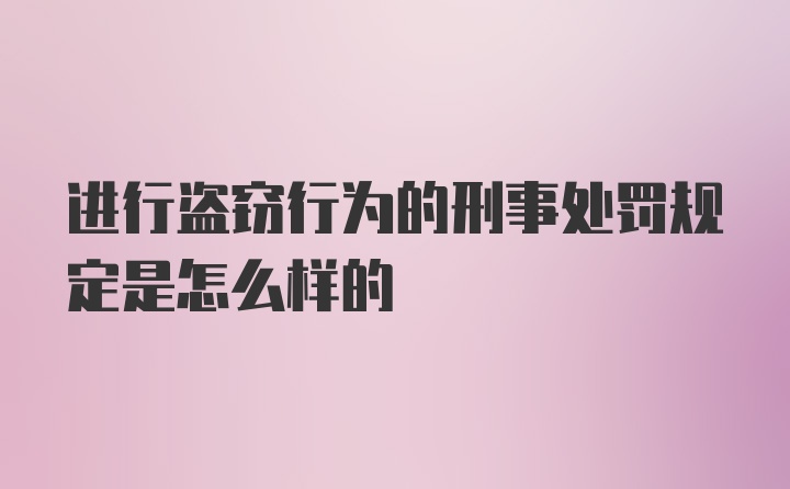 进行盗窃行为的刑事处罚规定是怎么样的