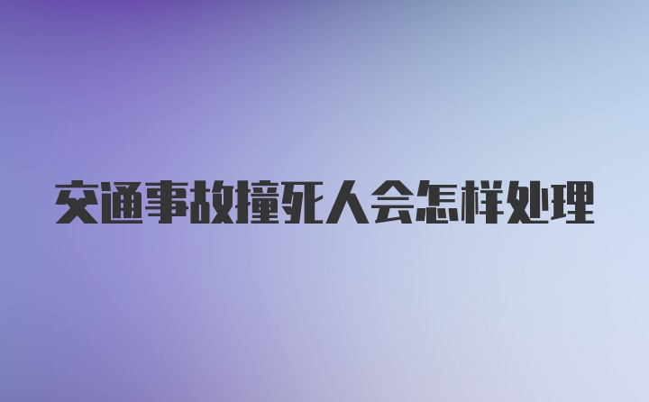 交通事故撞死人会怎样处理