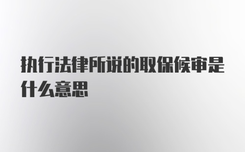 执行法律所说的取保候审是什么意思