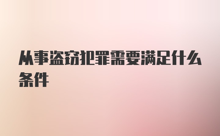 从事盗窃犯罪需要满足什么条件