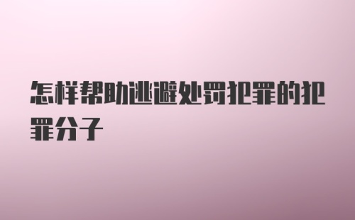 怎样帮助逃避处罚犯罪的犯罪分子