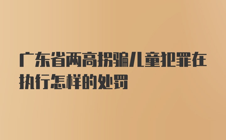 广东省两高拐骗儿童犯罪在执行怎样的处罚