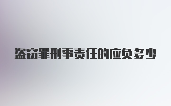 盗窃罪刑事责任的应负多少