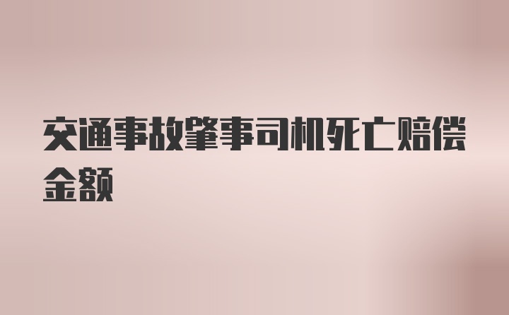 交通事故肇事司机死亡赔偿金额