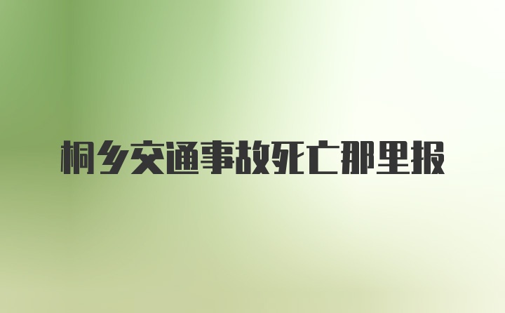 桐乡交通事故死亡那里报