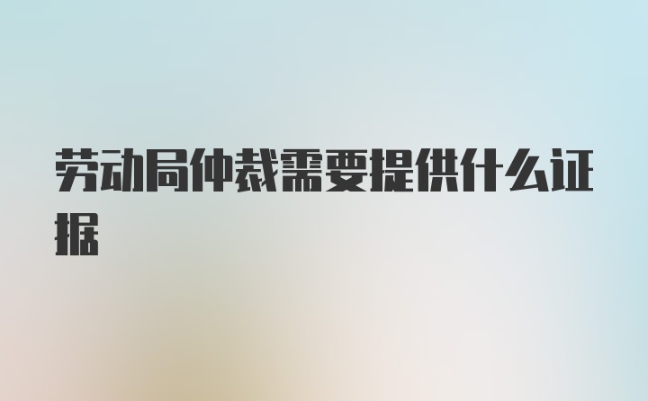 劳动局仲裁需要提供什么证据