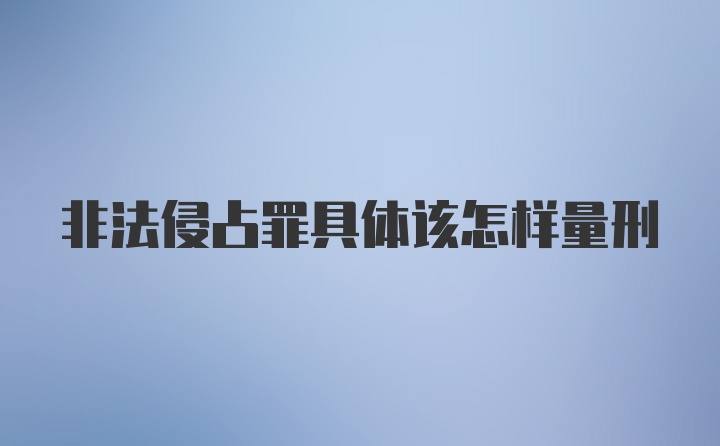 非法侵占罪具体该怎样量刑