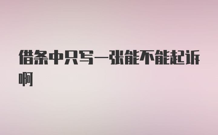 借条中只写一张能不能起诉啊