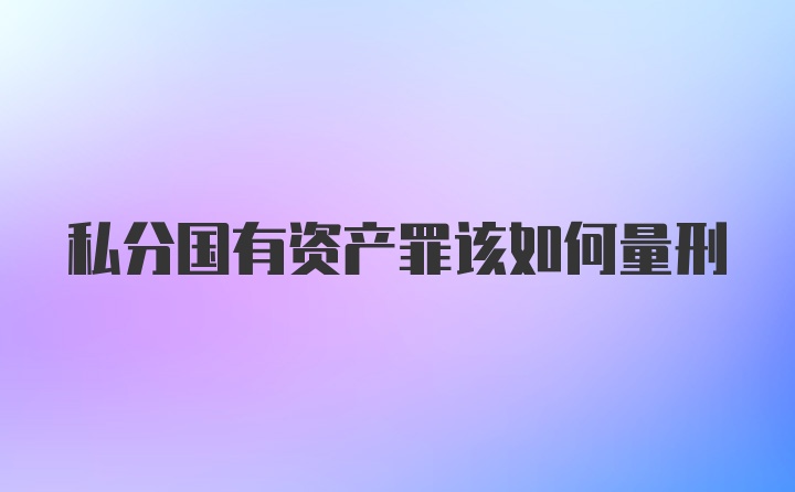 私分国有资产罪该如何量刑