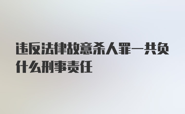 违反法律故意杀人罪一共负什么刑事责任