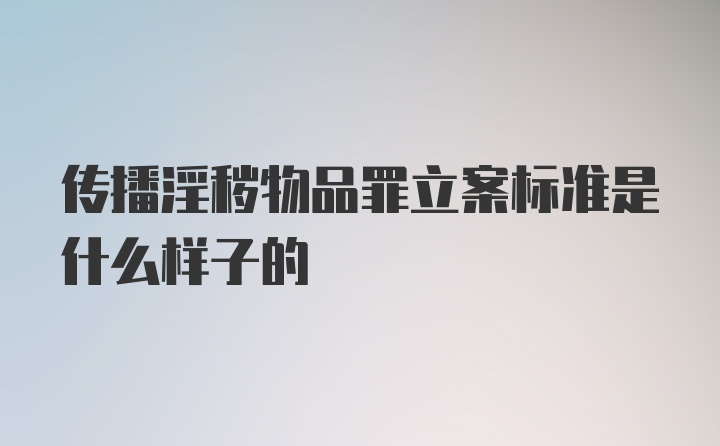 传播淫秽物品罪立案标准是什么样子的