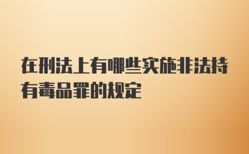 在刑法上有哪些实施非法持有毒品罪的规定