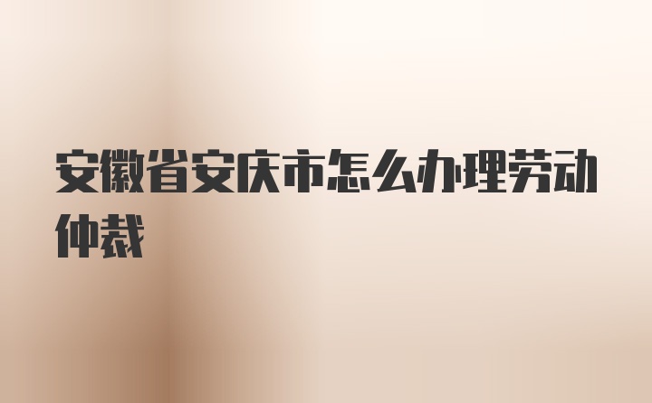 安徽省安庆市怎么办理劳动仲裁