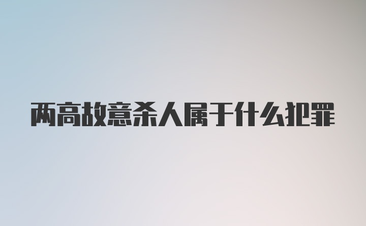 两高故意杀人属于什么犯罪