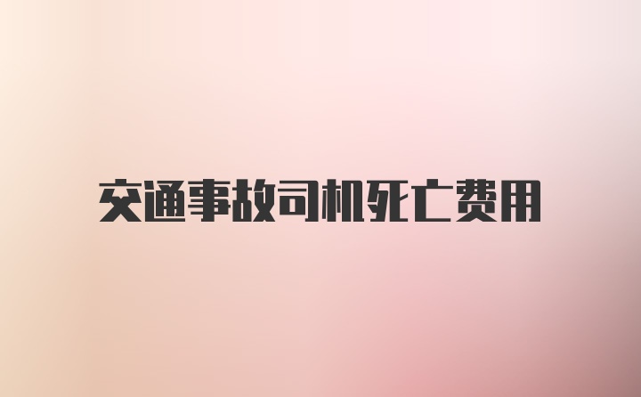 交通事故司机死亡费用