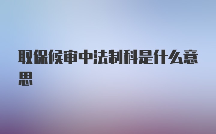 取保候审中法制科是什么意思