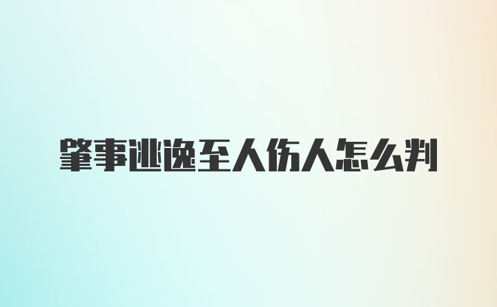 肇事逃逸至人伤人怎么判