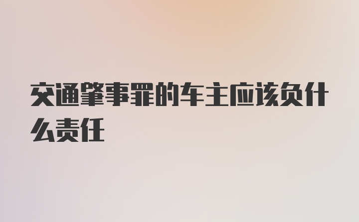 交通肇事罪的车主应该负什么责任